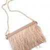Pink feather bag with chain