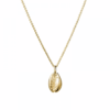 gold cowrie shell pendant on a gold curb chain necklace