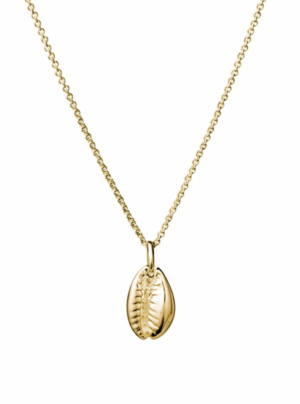 gold cowrie shell pendant on a gold curb chain necklace